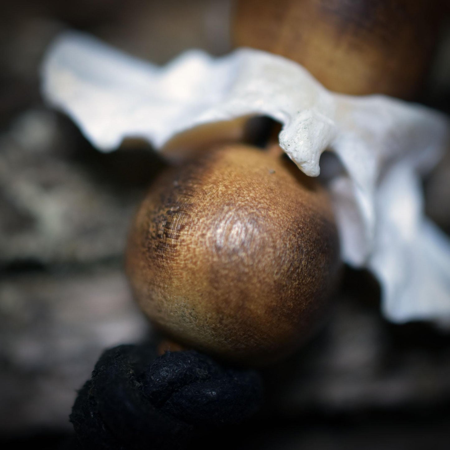 Spezialkollektion - Schamanisches Amulett mit Wirbelknochen, Bodhiperlen & Holz – Dein natürlicher Kraftanhänger