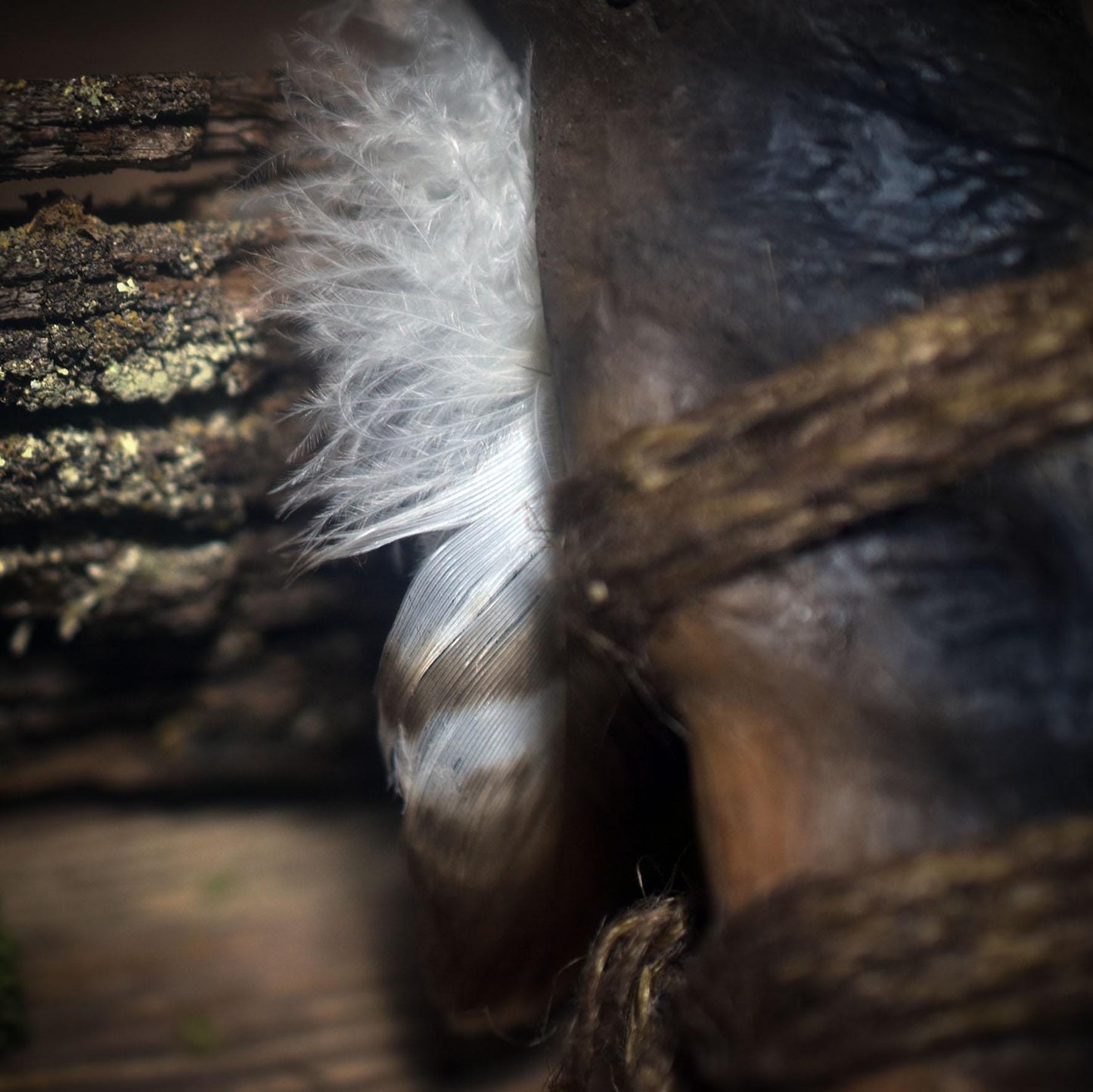 Ritualstab des Falken – Schamanisches Werkzeug in Rauchbrandkunst - Klarer Blick, Führung & luftige Kraft