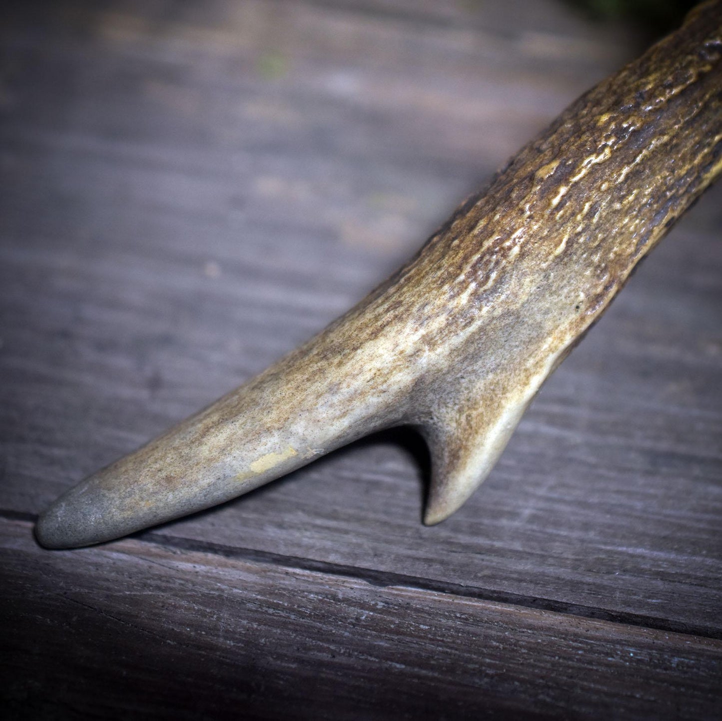 Ritualstab des Schutzes – Dein Begleiter aus Geweih und goldenem Obsidian - Art.Nr.: RST015