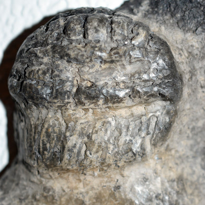 Dordogne Höhlenkunst Venus Wandrelief aus Naturton und im Rauchbrand gefärbt - Steinzeitliche Kunst Frankreich - Venus - Matriarchale Kunst