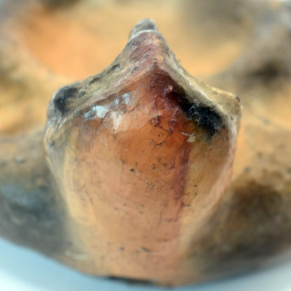 Räucherschale Schamanische Krafttier Eule - handgefertigt aus Ton für deinen Altar - im Rauchbrand vollendet