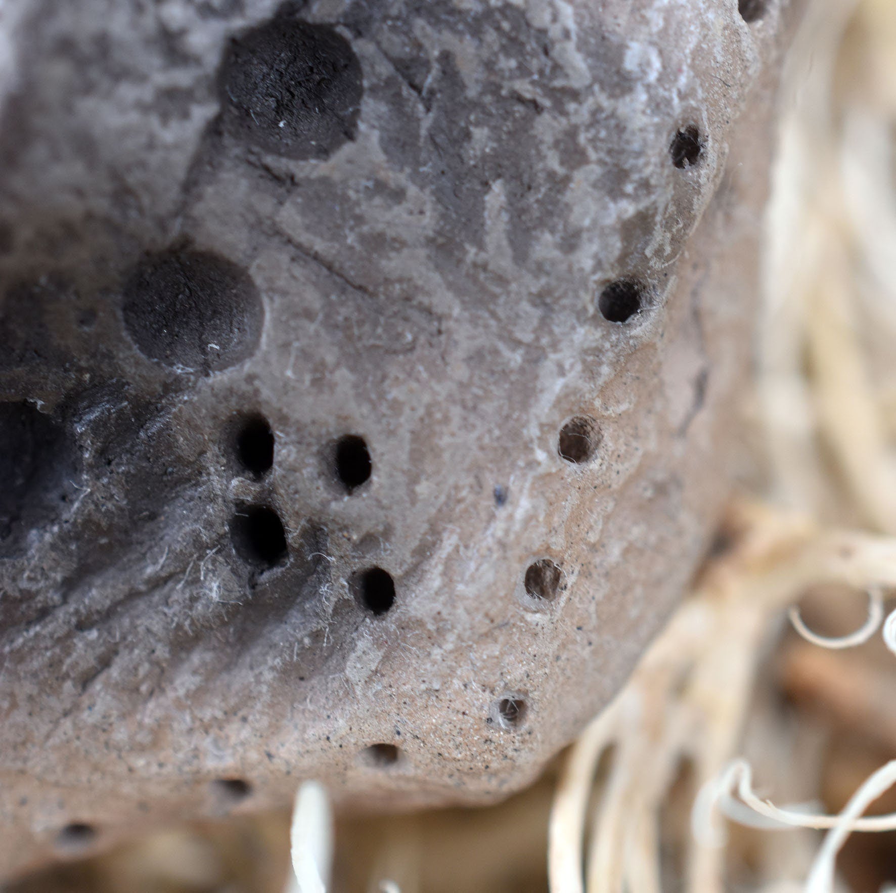 Handgefertigtes Amulett Talisman in Donut Form aus rustikalem Ton – Einzigartige Rauchbrandkunstwerk - mit Leder- oder Baumwollband
