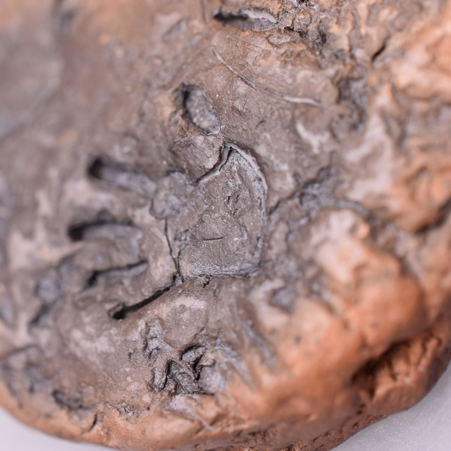 Lascaux Räucherstäbchenhalter Cave Art, primitive Kunst