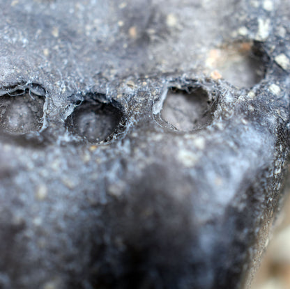 Handgefertigter Sleipnir Glücksbringer Amulett Talisman - Nordischer Schmuck aus traditionell gebranntem Ton mit Leder- oder Baumwollband