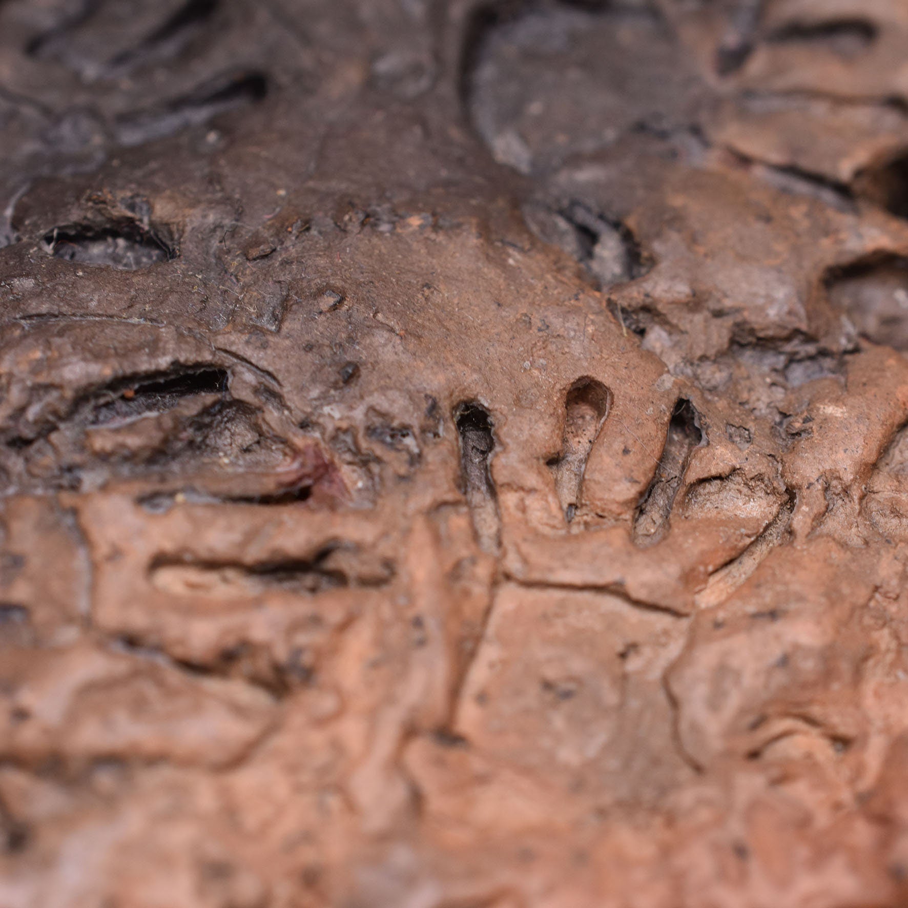 Lascaux Räucherstäbchenhalter Cave Art, primitive Kunst
