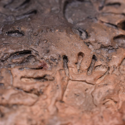 Lascaux Räucherstäbchenhalter Cave Art, primitive Kunst