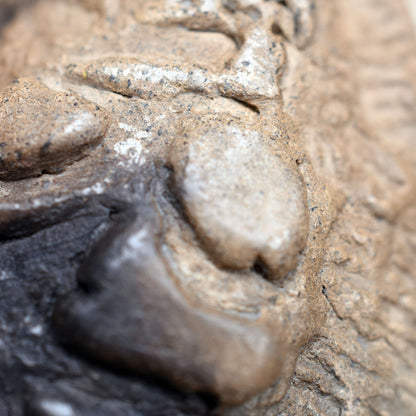 Einzigartiges Glücksbringer Amulett: Rauchbrand Ton Anhänger - Venus von Willendorf mit Leder- oder Baumwollband