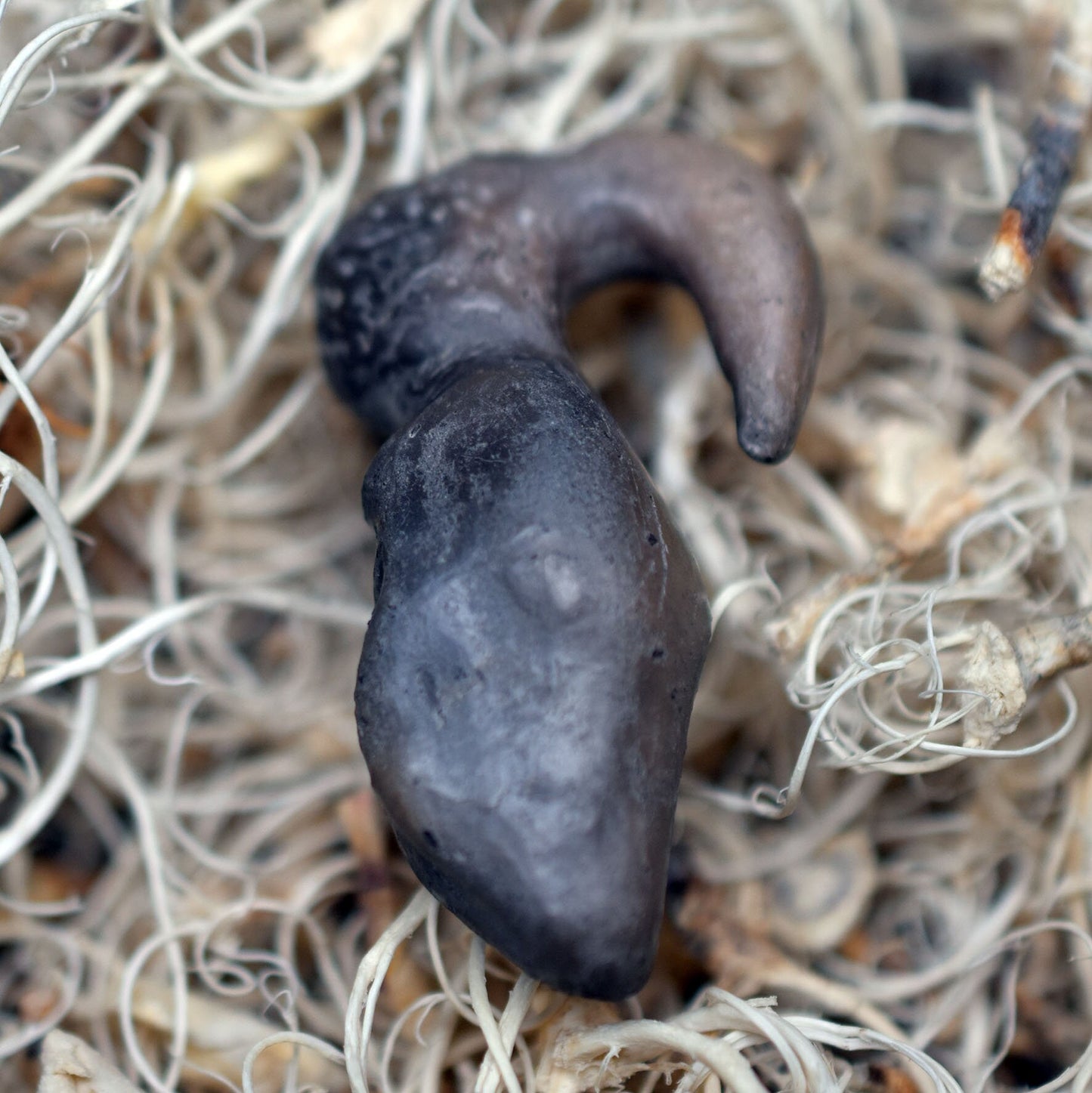 Earweight 16g Piercingschmuck Venus von Willendorf für 9mm Ohrloch