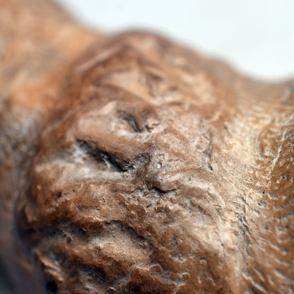 Verzauberte Fabelwesen Dekoration – Mystische Skulptur eines Muschel Babys aus Ton handgefertigt - im Rauchbrand geboren