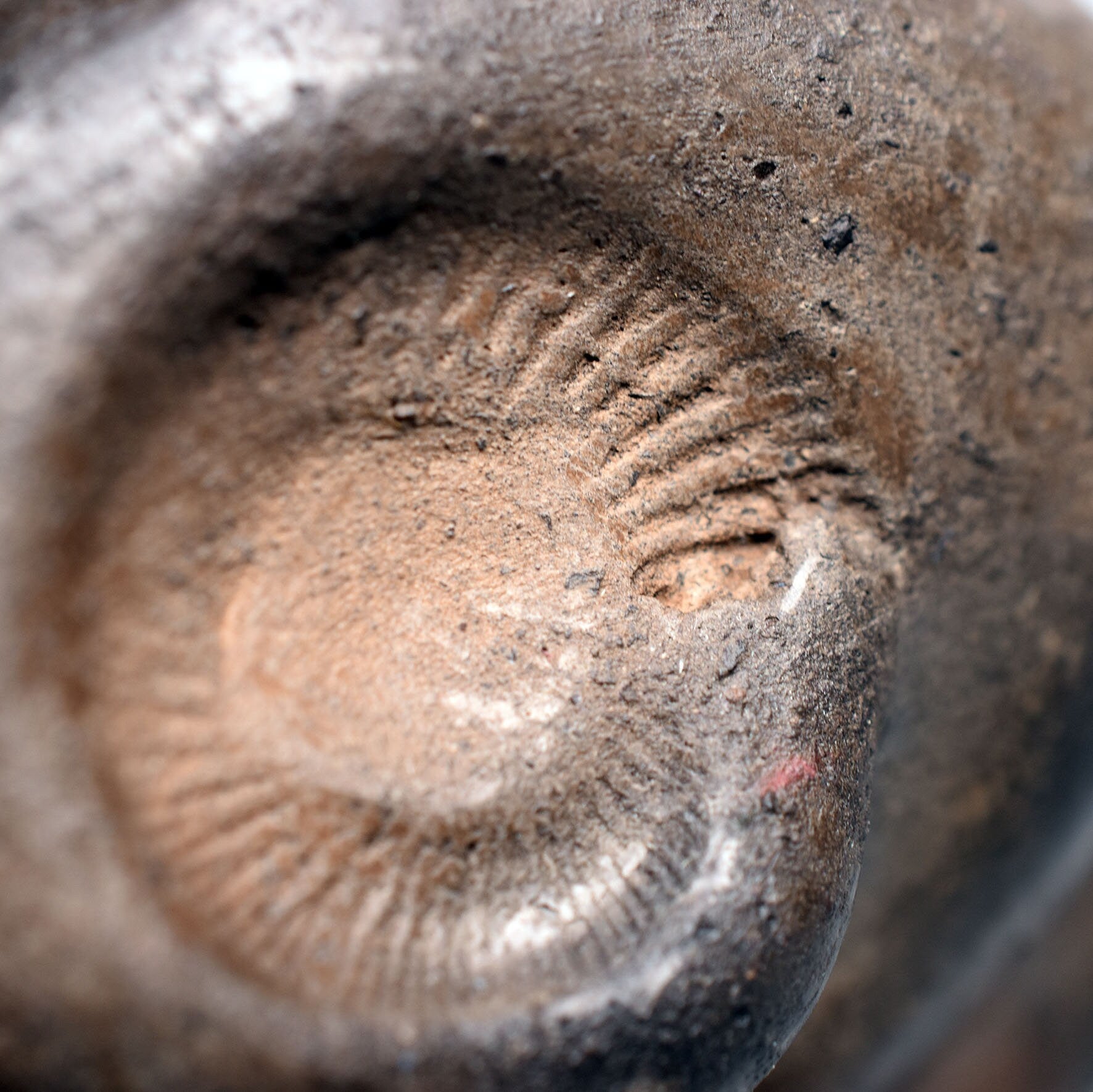 Harmonische weibliche Schneckenfigur aus Ton und im Rauchbrand geboren – Meditative Kunstskulptur für Dein Zuhause