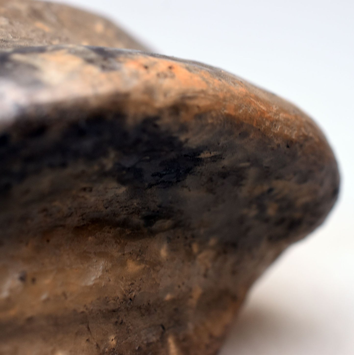 Prähistorisch inspirierte versteinerte Fliege Skulptur - handgefertigt aus Naturton und im traditionellen Rauchbrand veredelt