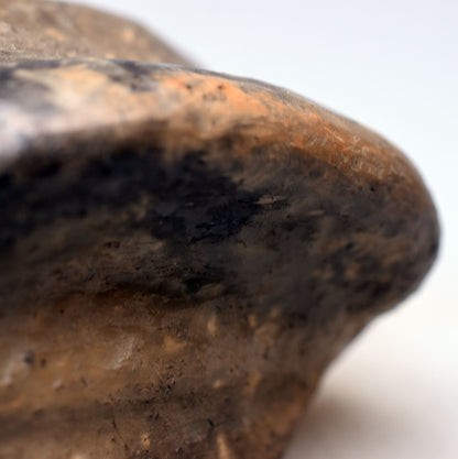 Prähistorisch inspirierte versteinerte Fliege Skulptur - handgefertigt aus Naturton und im traditionellen Rauchbrand veredelt