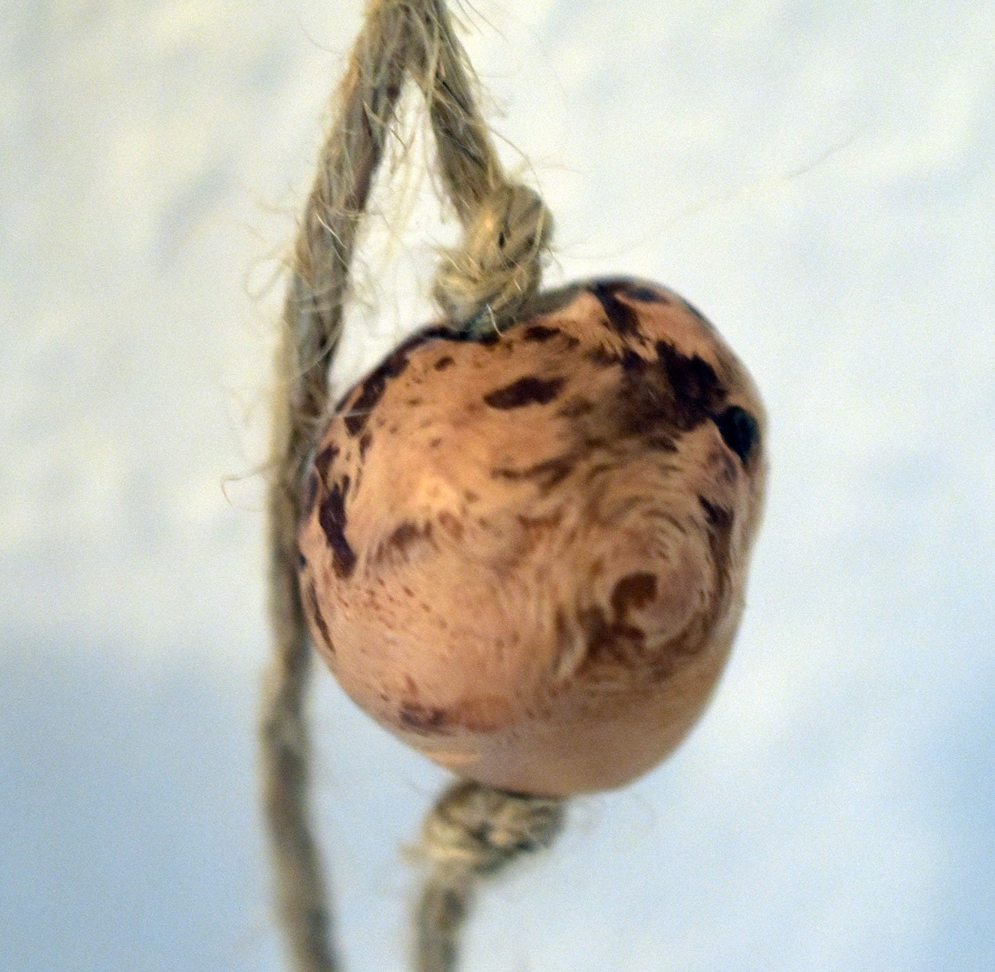 Einzigartige Rauchbrand Kunst: Handgemachte rustikale Fenster- oder Wanddeko mit Hirschgott Cernunnos Motiv