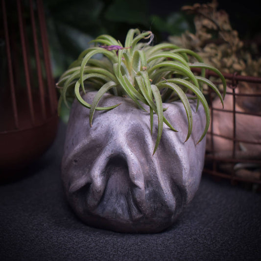 Yoni Pflanzgefäß Unikat aus traditionell gebranntem Ton - Handgemachte Rauchbrandkunst - Ode an die Weiblichkeit