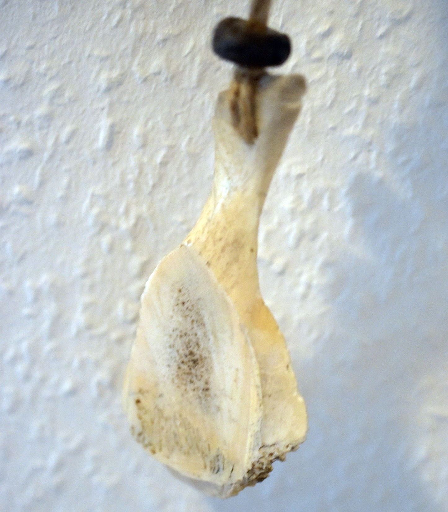 Einzigartige Rauchbrand Kunst: Handgemachte rustikale Fenster- oder Wanddeko mit Hirschgott Cernunnos Motiv