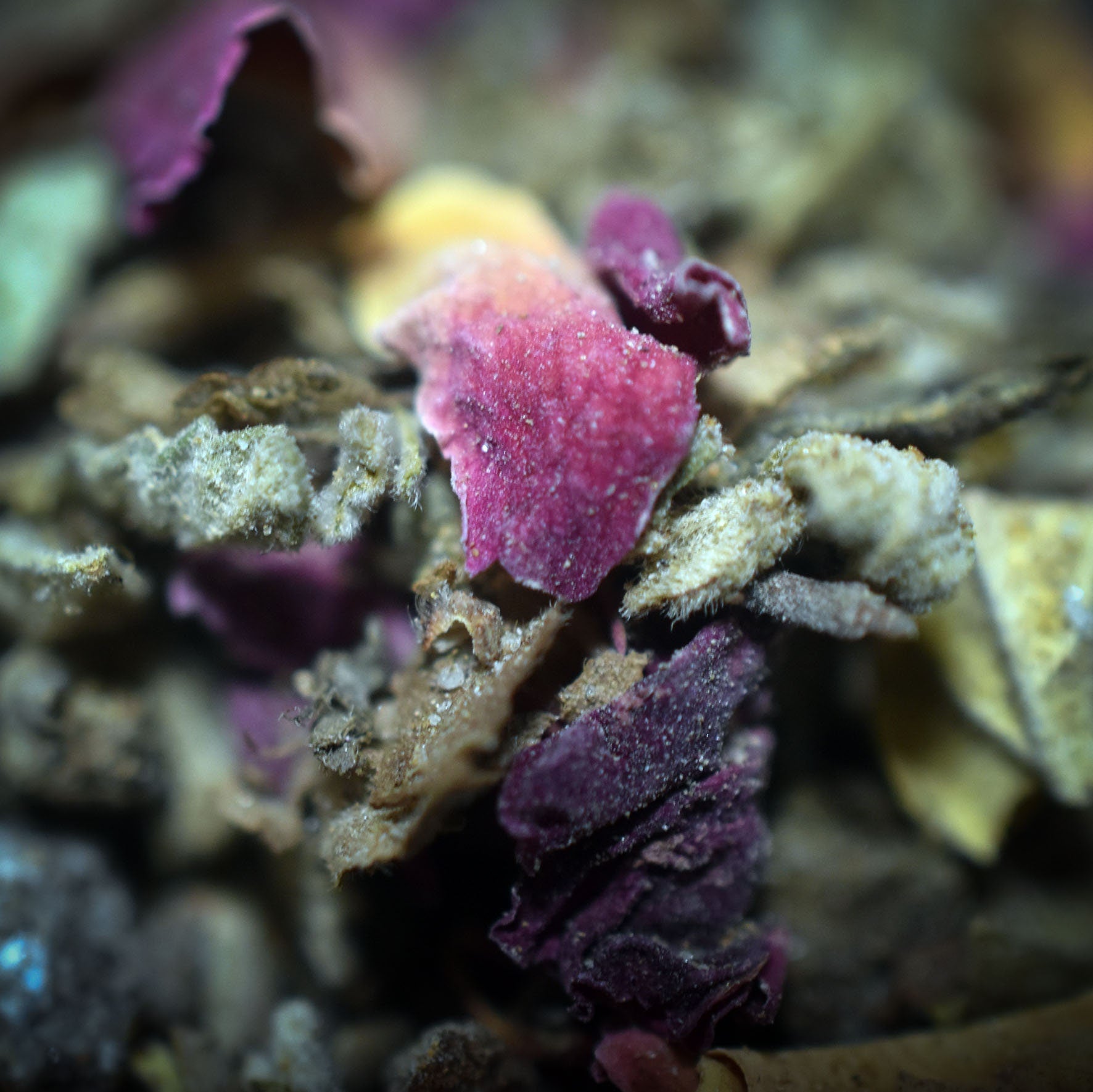 Goddess Embrace – Eine Räuchermischung, die dich in die Arme der Göttin nimmt - 30ml Glas mit Korken