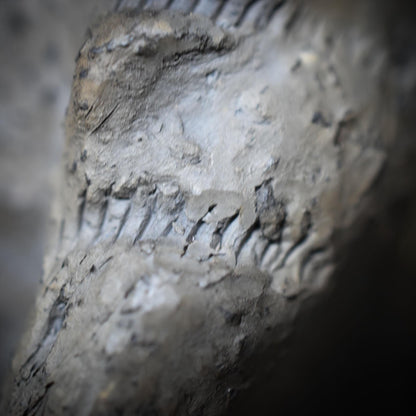 Handgemachte Löwenmensch Tonskulptur – inspiriert durch Fund auf der Schwäbischen Alb -traditionelle Rauchbrandkunst