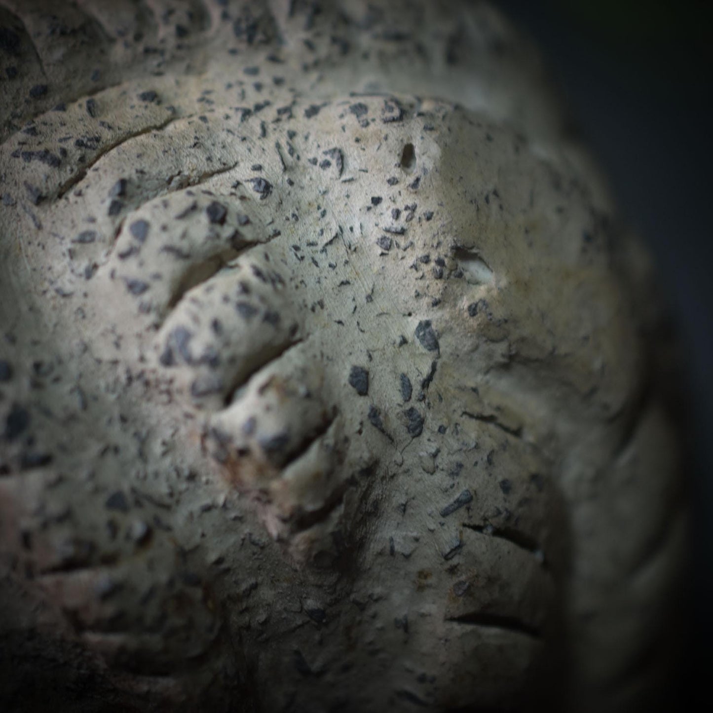 Handgefertigte Medusa Skulptur aus traditionell gebranntem Ton – Einzigartige Rauchbrandkunst der griechischen Mythologie