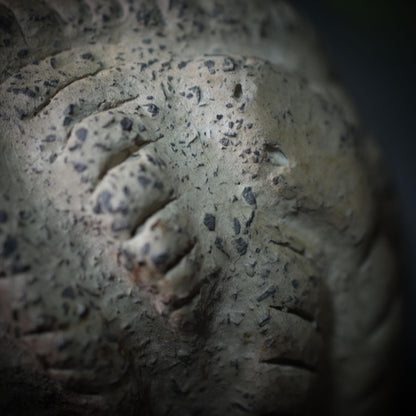 Handgefertigte Medusa Skulptur aus traditionell gebranntem Ton – Einzigartige Rauchbrandkunst der griechischen Mythologie