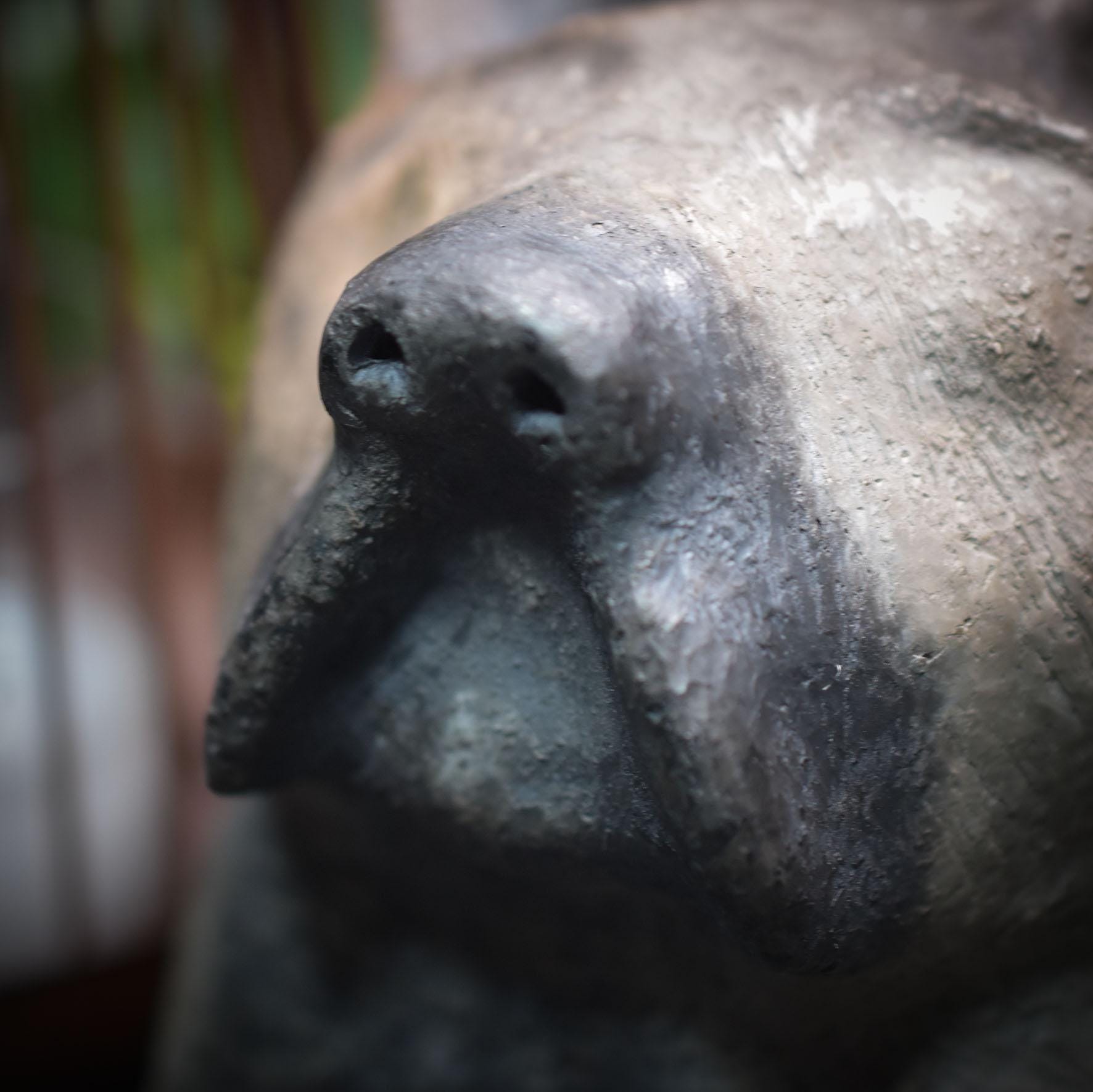 Handgefertigte Hundebüste aus Ton - Ein Symbol für Hundeliebe und Tierfreundschaft