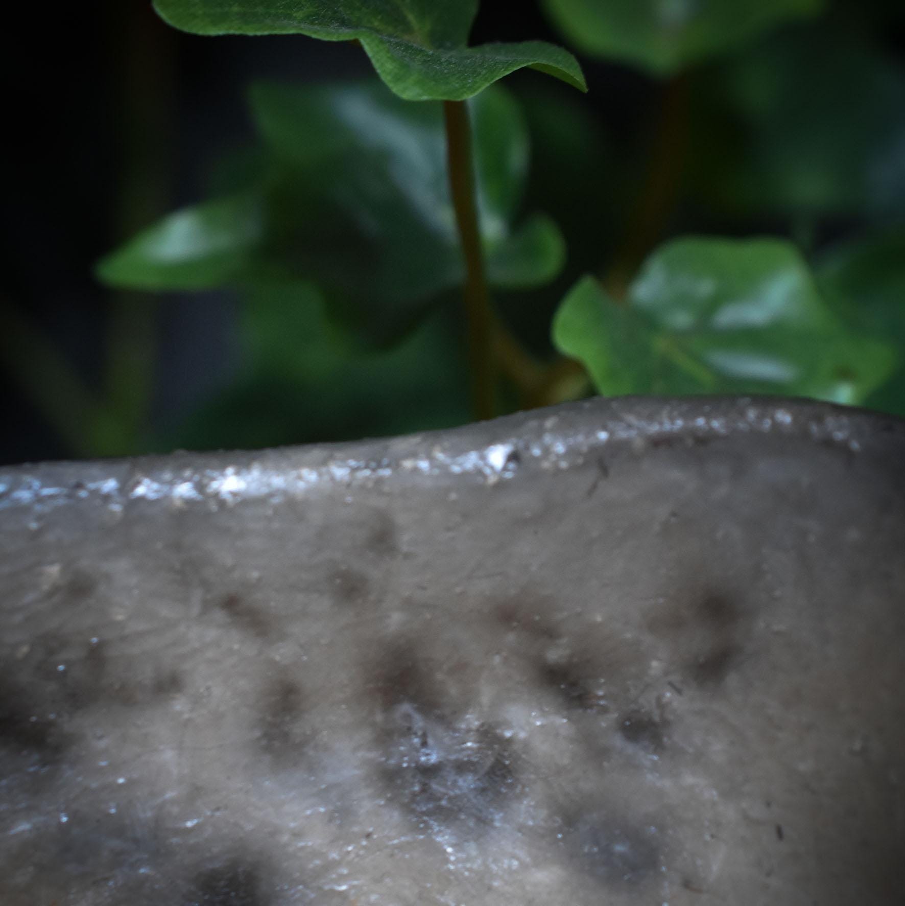 Hängendes Pflanzgefäß für Sukkulenten oder Kleine Pflanzen – Rustikale Frühlingsdeko