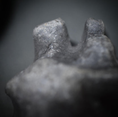 Handgefertigtes anatomisches Herz aus Ton – Ein herzliches Geschenk für besondere Menschen Art.Nr.: SKU017