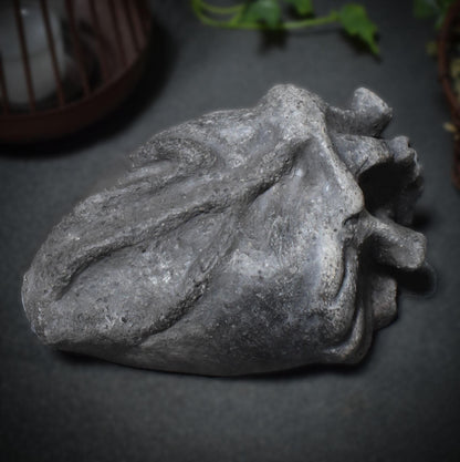 Handgefertigtes anatomisches Herz aus Ton – Ein herzliches Geschenk für besondere Menschen Art.Nr.: SKU017