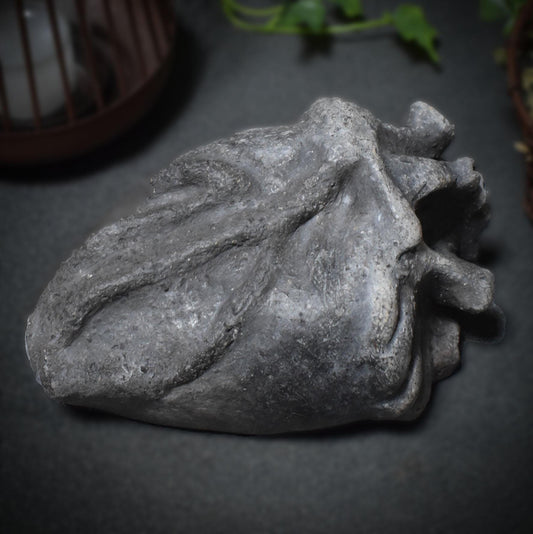 Handgefertigtes anatomisches Herz aus Ton – Ein herzliches Geschenk für besondere Menschen Art.Nr.: SKU017