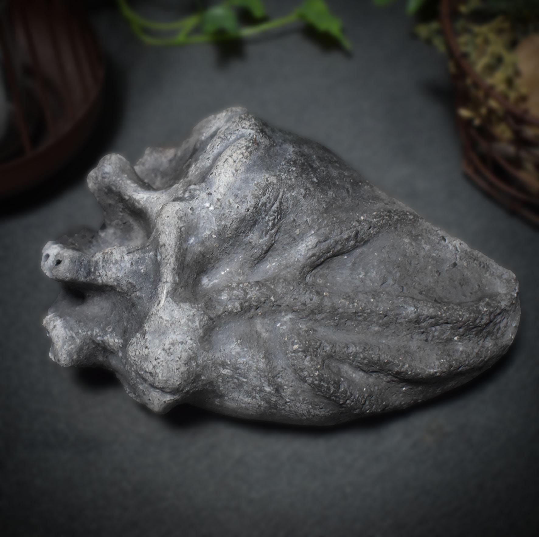 Handgefertigtes anatomisches Herz aus Ton – Ein herzliches Geschenk für besondere Menschen Art.Nr.: SKU017