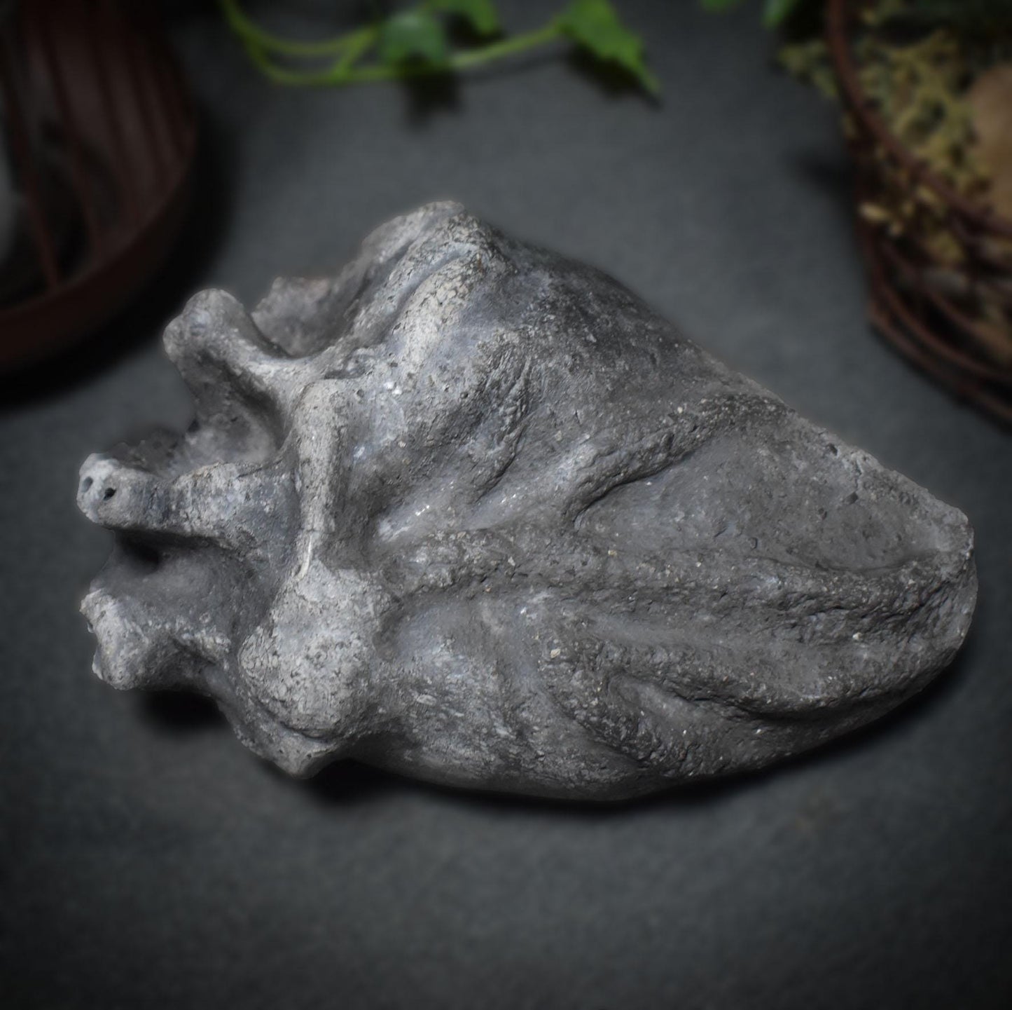 Handgefertigtes anatomisches Herz aus Ton – Ein herzliches Geschenk für besondere Menschen