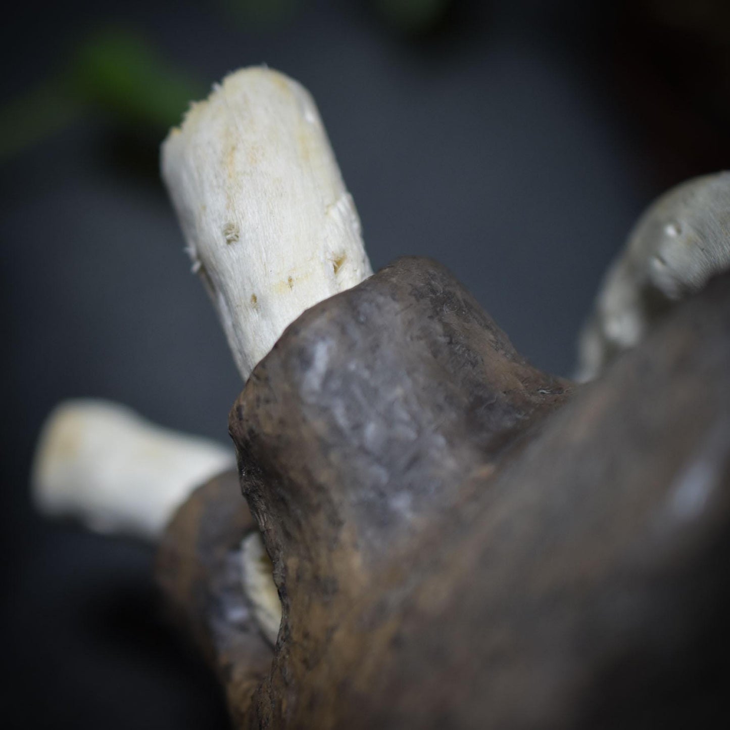 Anatomisches Herz aus Ton – traditionelle Rauchbrandkunst - Dein Motor des Lebens in Kunstform