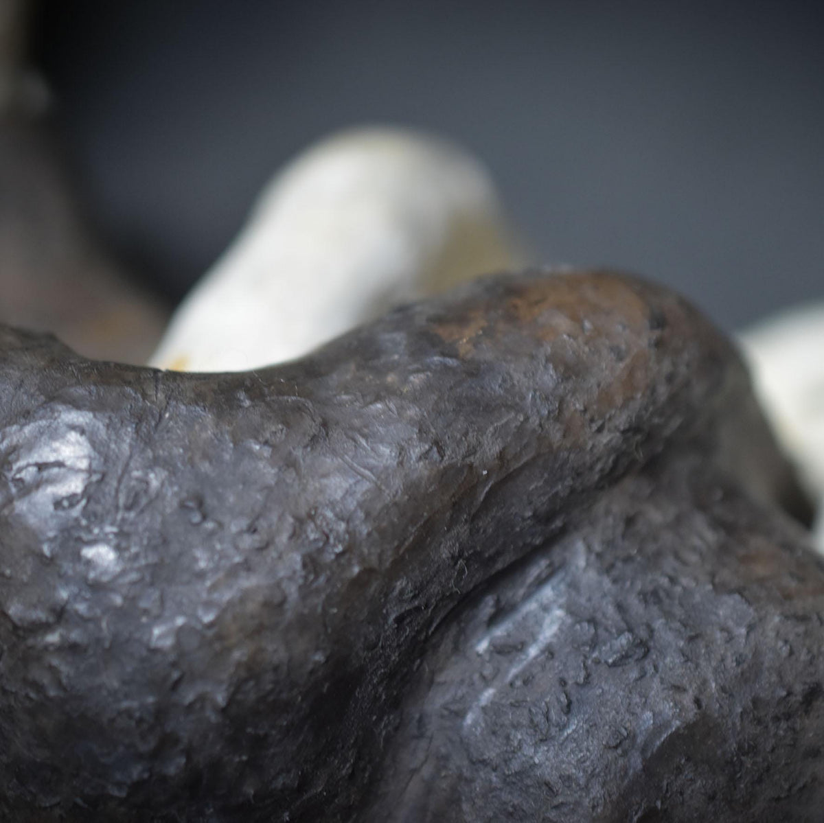 Anatomisches Herz aus Ton & Holz, Herzskulptur Unikat, Spirituelle Kunst, Symbol für Lebenskraft und Heilung, Handgeformte Herzfigur SKU024