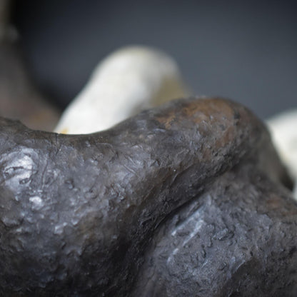 Anatomisches Herz aus Ton & Holz, Herzskulptur Unikat, Spirituelle Kunst, Symbol für Lebenskraft und Heilung, Handgeformte Herzfigur SKU024