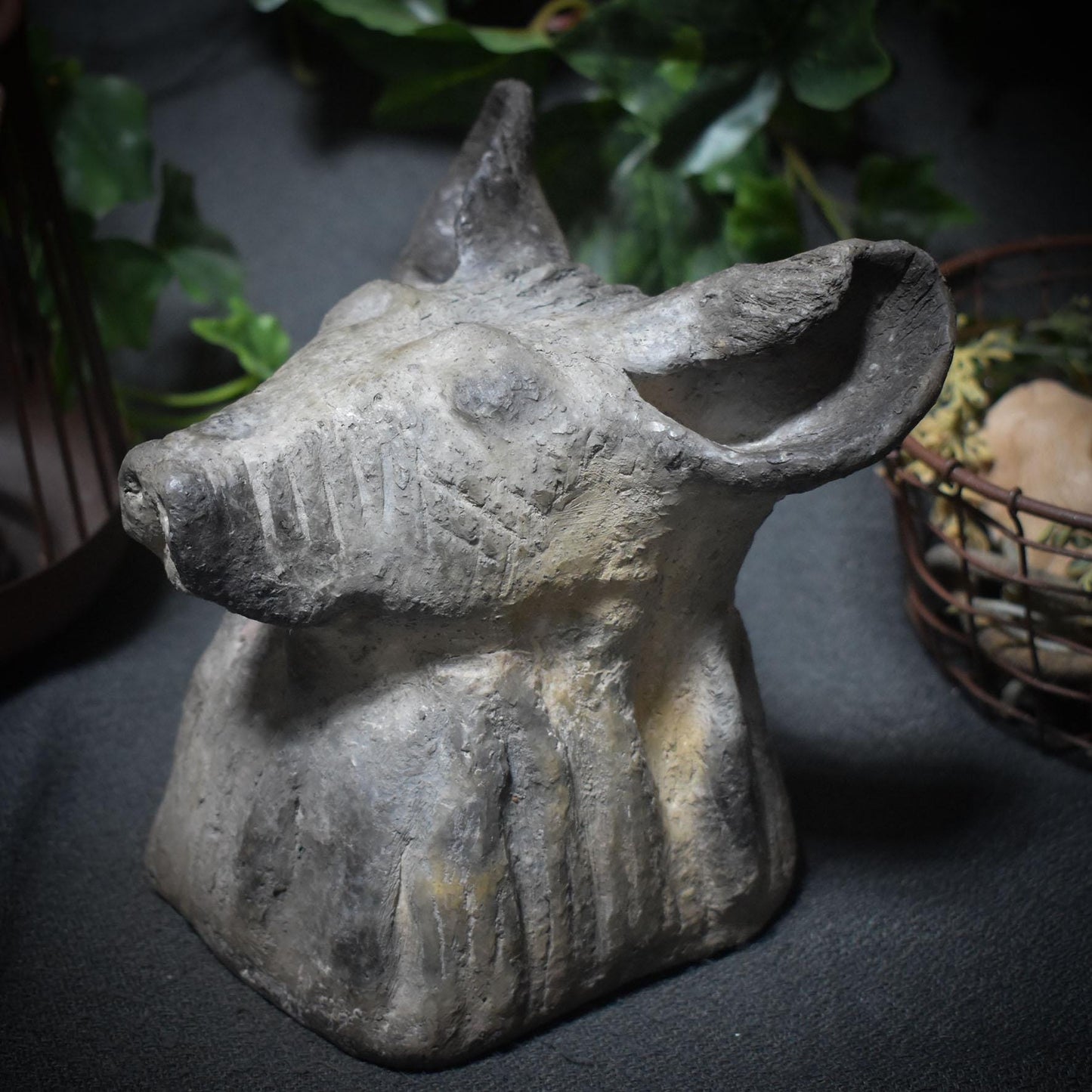 Entdecke die Urkraft der Hyäne – eine schamanische Tierbüste voller Magie und Mystik - Art.Nr.: SKU037