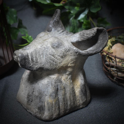 Entdecke die Urkraft der Hyäne – eine schamanische Tierbüste voller Magie und Mystik - Art.Nr.: SKU037