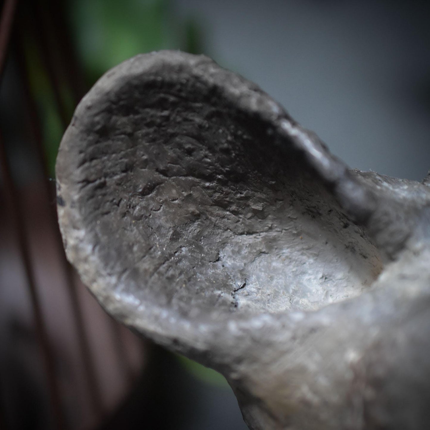 Entdecke die Urkraft der Hyäne – eine schamanische Tierbüste voller Magie und Mystik - Art.Nr.: SKU037