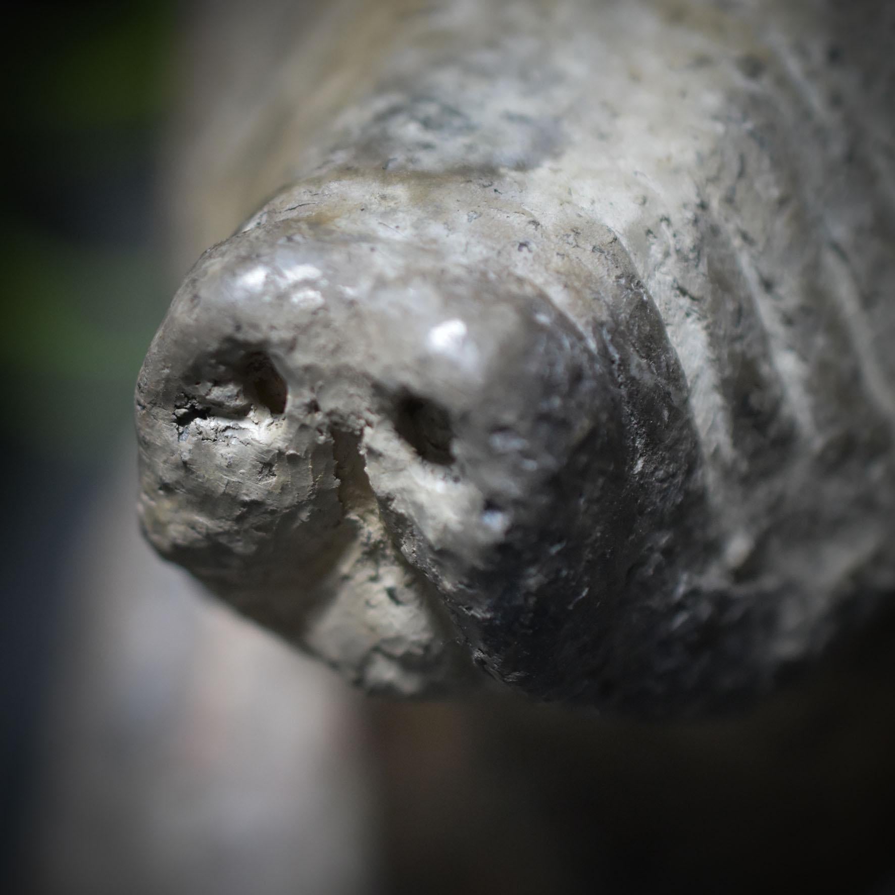 Entdecke die Urkraft der Hyäne – eine schamanische Tierbüste voller Magie und Mystik