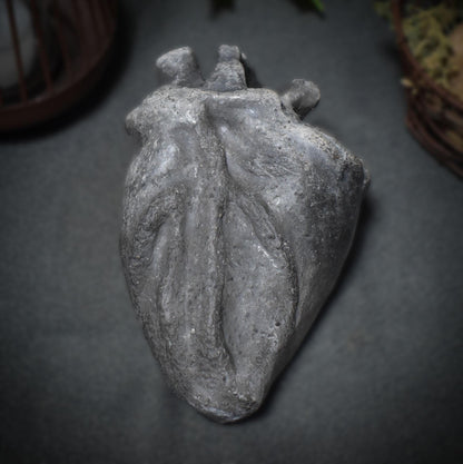 Handgefertigtes anatomisches Herz aus Ton – Ein herzliches Geschenk für besondere Menschen