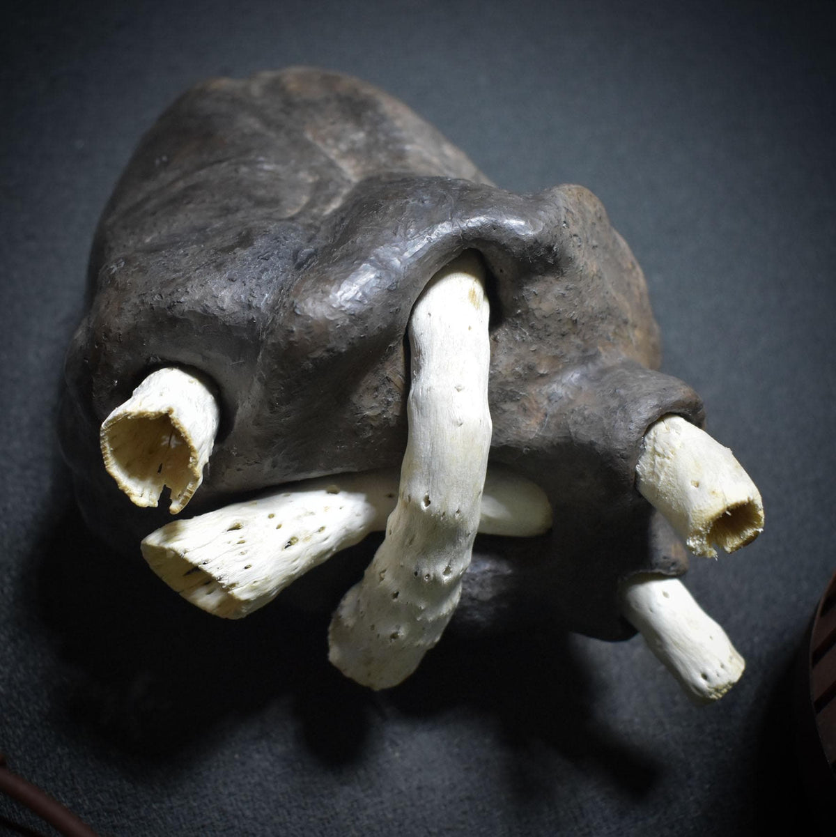 Anatomisches Herz aus Ton & Holz, Herzskulptur Unikat, Spirituelle Kunst, Symbol für Lebenskraft und Heilung, Handgeformte Herzfigur SKU024