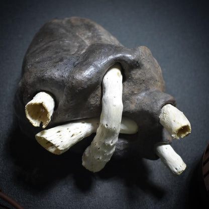 Anatomisches Herz aus Ton & Holz, Herzskulptur Unikat, Spirituelle Kunst, Symbol für Lebenskraft und Heilung, Handgeformte Herzfigur SKU024