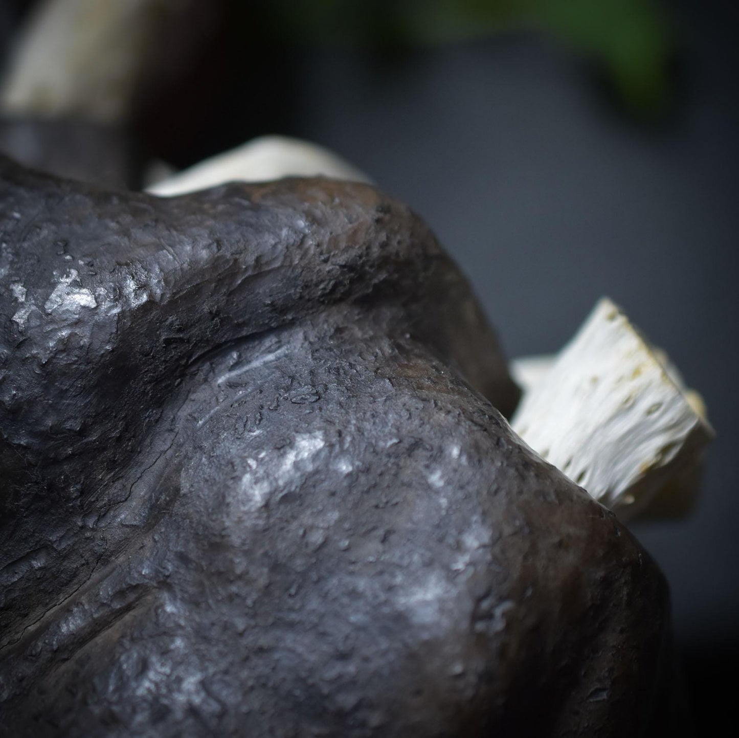 Anatomisches Herz aus Ton – traditionelle Rauchbrandkunst - Dein Motor des Lebens in Kunstform