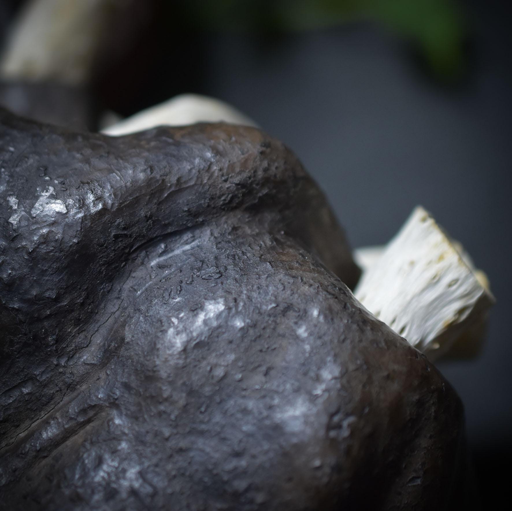 Anatomisches Herz aus Ton – traditionelle Rauchbrandkunst - Dein Motor des Lebens in Kunstform