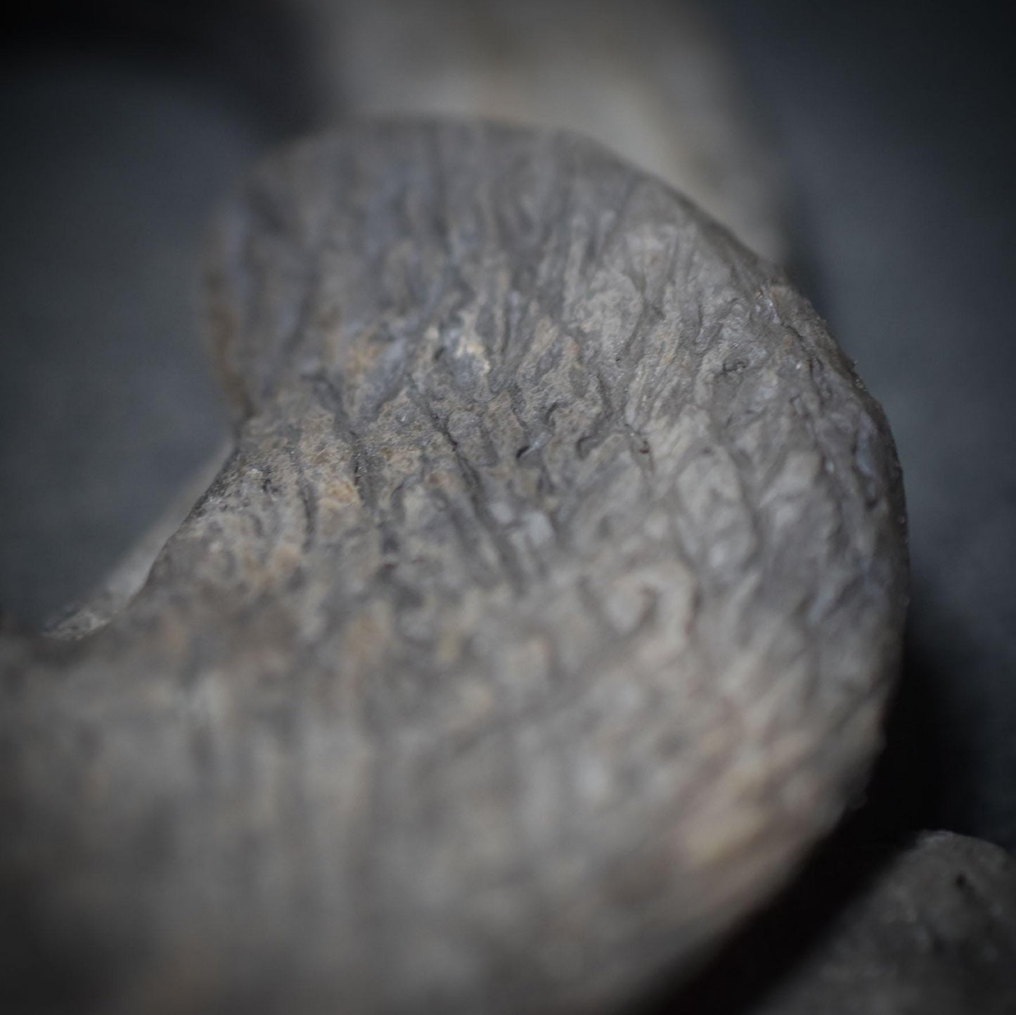 Ankh - Das Ägyptische Kreuz der Unsterblichkeit - handgefertigt in traditioneller Rauchbrandtechnik