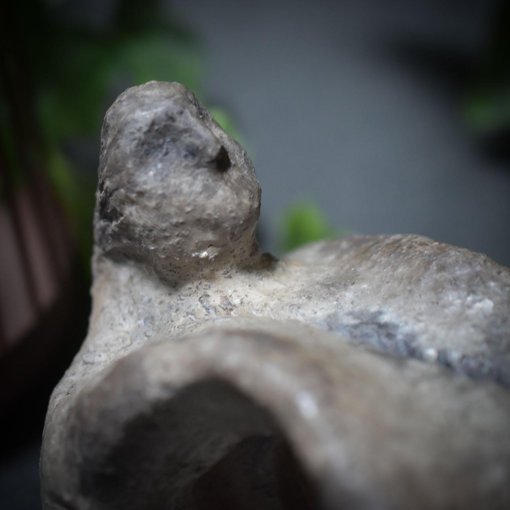 Silberschnur – Eine Skulptur, die Körper und Seele verbindet - Verkörperung von Leben & Tod - Art.Nr.: SKU033