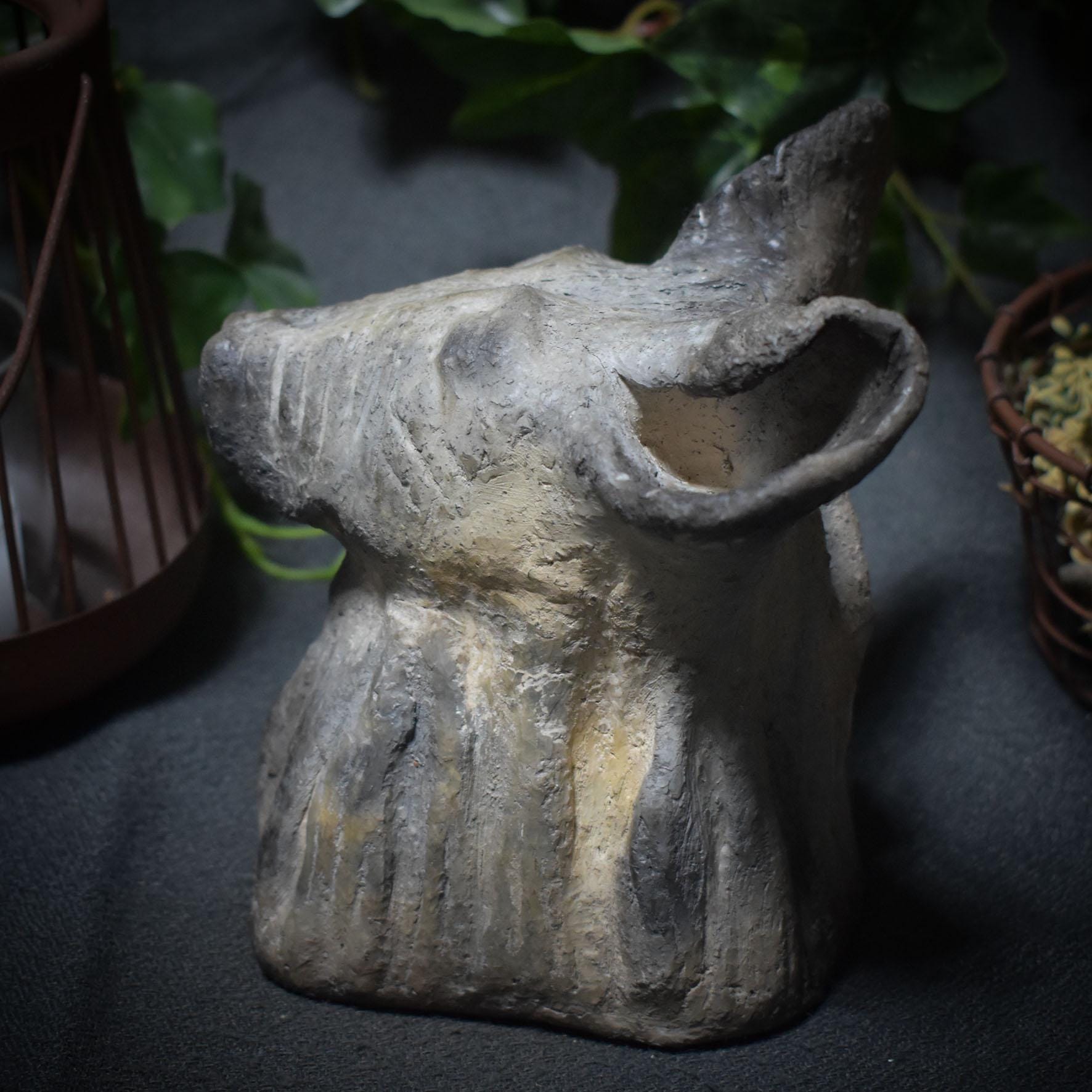 Entdecke die Urkraft der Hyäne – eine schamanische Tierbüste voller Magie und Mystik - Art.Nr.: SKU037