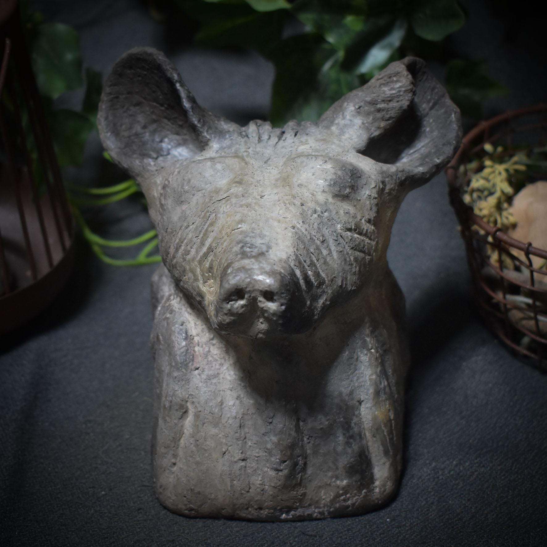 Entdecke die Urkraft der Hyäne – eine schamanische Tierbüste voller Magie und Mystik - Art.Nr.: SKU037