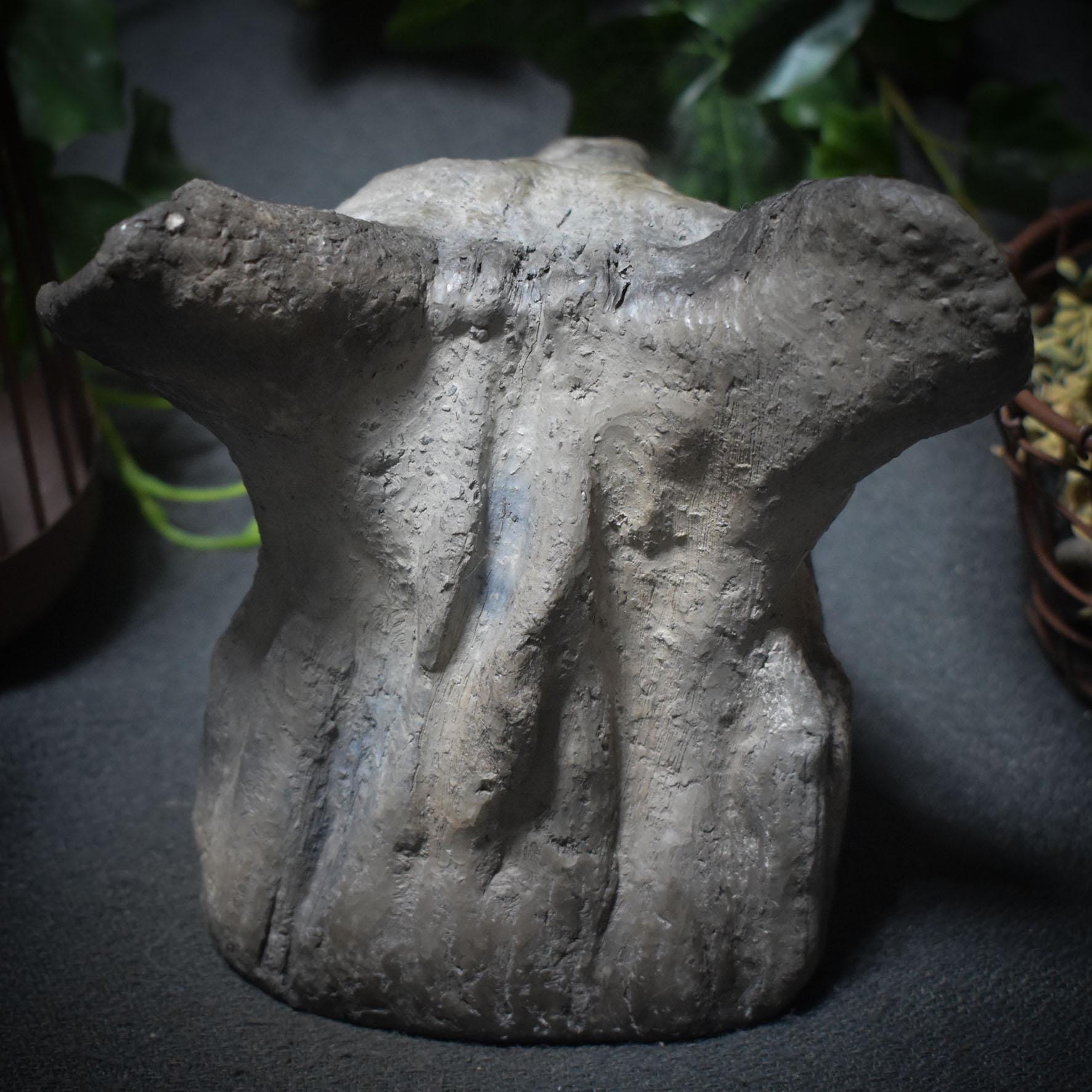 Entdecke die Urkraft der Hyäne – eine schamanische Tierbüste voller Magie und Mystik - Art.Nr.: SKU037