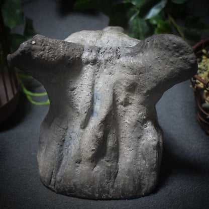 Entdecke die Urkraft der Hyäne – eine schamanische Tierbüste voller Magie und Mystik - Art.Nr.: SKU037