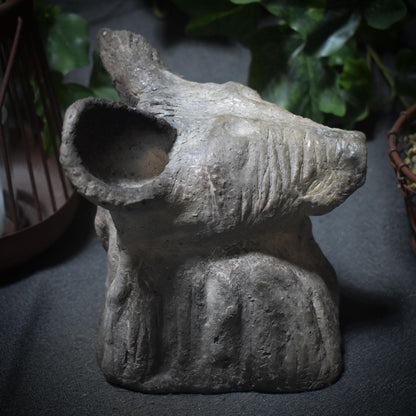 Entdecke die Urkraft der Hyäne – eine schamanische Tierbüste voller Magie und Mystik - Art.Nr.: SKU037