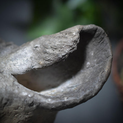 Entdecke die Urkraft der Hyäne – eine schamanische Tierbüste voller Magie und Mystik